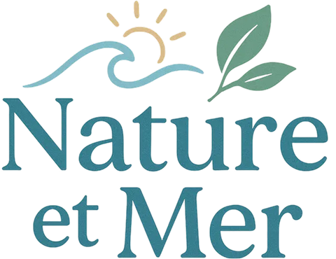 Nature et Mer Conciergerie